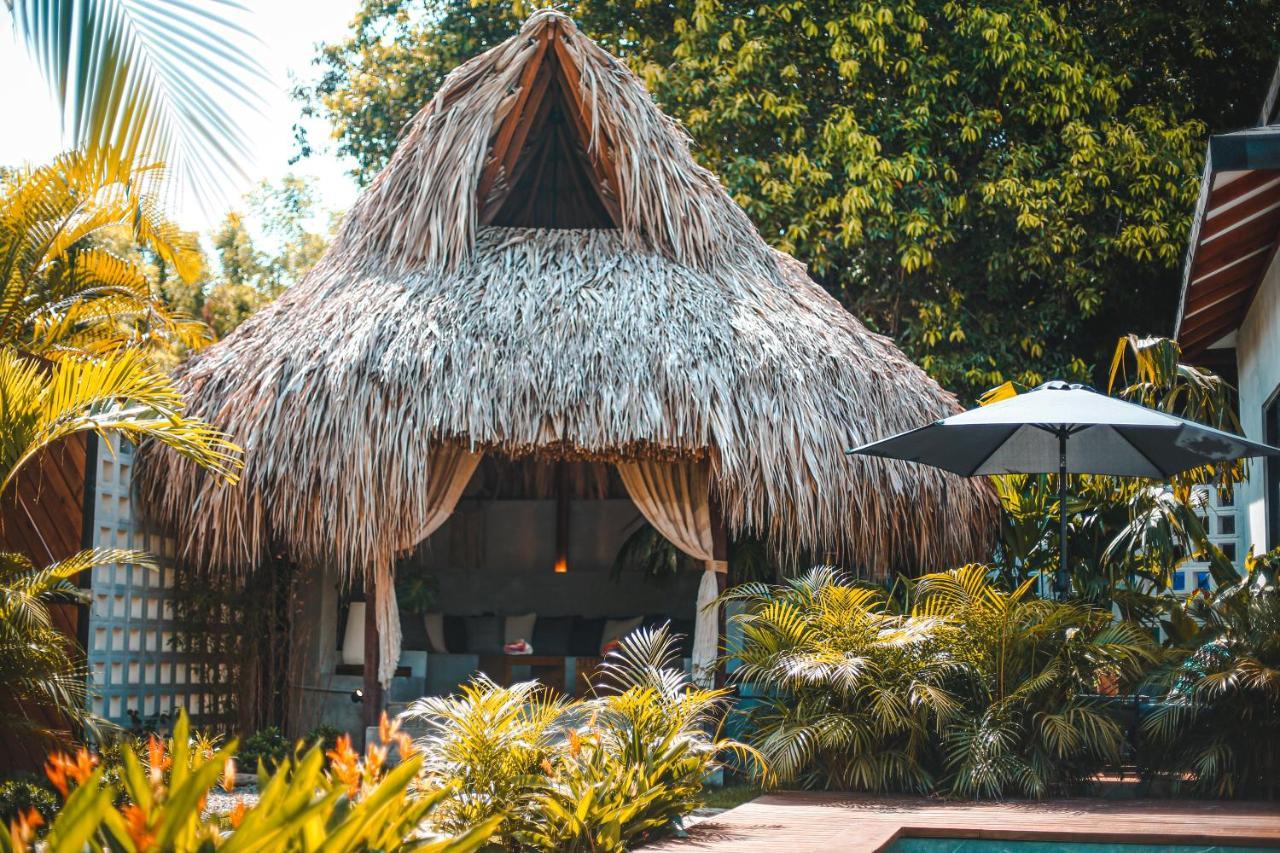 Mapuwi Villa & Suite Palomino Ngoại thất bức ảnh
